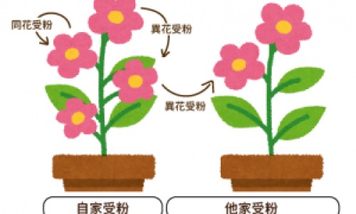 低烧与高烧的区别是什么-低烧与高烧的区别网-分享低烧和高烧的区别症状，低烧和高烧哪个更危险知识库