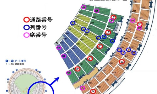 低烧与高烧的区别是什么-低烧与高烧的区别网-分享低烧和高烧的区别症状，低烧和高烧哪个更危险知识库